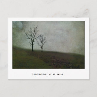 Tala inte bitter ord - vykort