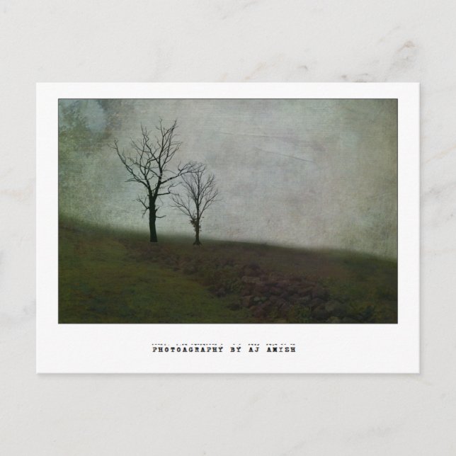 Tala inte bitter ord - vykort (Framsida)