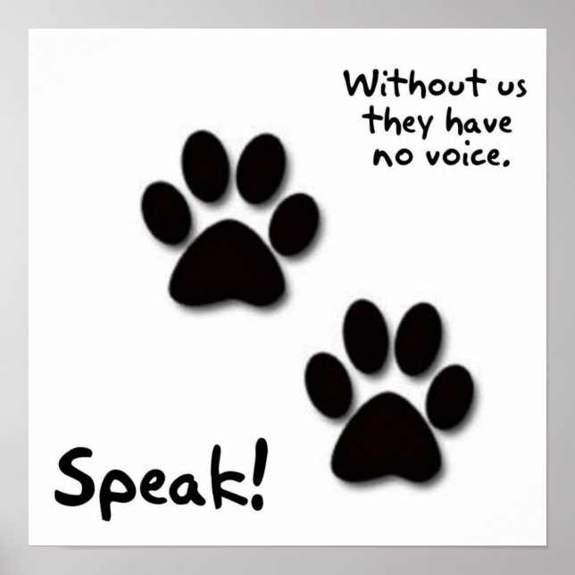 Tala! Poster (Framsidan)