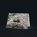 TALA TURTLE-DON INTE BARA SIG DÄR GRATTIS PÅ FÖDEL KORT<br><div class="desc">ATT TALA TURTLES ÄR INTE MYCKET OFTA KOM. DEN HÄR ÄR TILL OCH MED EN KOMIKER! SKICKA DETTA KORT TILL DIN VÄNNE ELLER FAMILJEMEDLEM OCH SÄTT EN STOR SMILE PÅ SIN ANSIKTE FÖR ATT SÄKRA!</div>