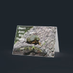 TALA TURTLE-DON INTE BARA SIG DÄR GRATTIS PÅ FÖDEL KORT<br><div class="desc">ATT TALA TURTLES ÄR INTE MYCKET OFTA KOM. DEN HÄR ÄR TILL OCH MED EN KOMIKER! SKICKA DETTA KORT TILL DIN VÄNNE ELLER FAMILJEMEDLEM OCH SÄTT EN STOR SMILE PÅ SIN ANSIKTE FÖR ATT SÄKRA!</div>
