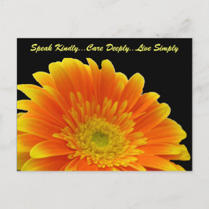 Tala vänligt Gerbera-vykort Vykort