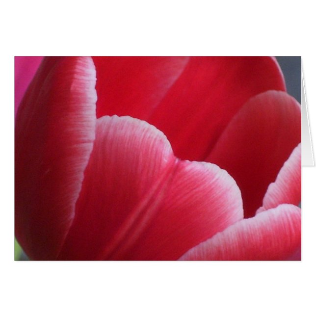 tålamod hälsningskort (Framsidan Horizontal)