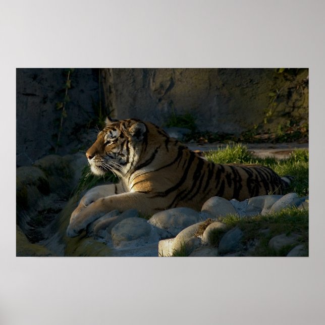 tålamod poster (Framsidan)