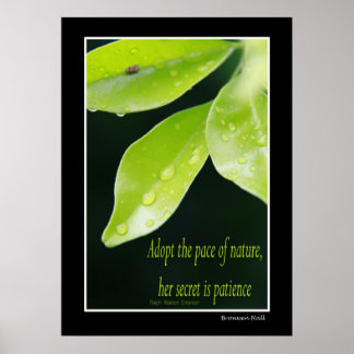 tålamod poster