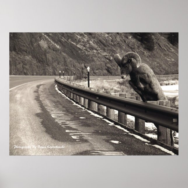 tålamod poster (Framsidan)