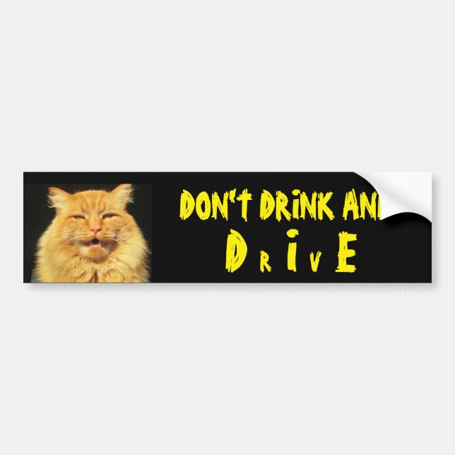 Talande kattnågot att säga dricker inte och DÖR Bildekal (Framsidan)
