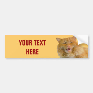 Talande kattpumpa för orange din text bildekal