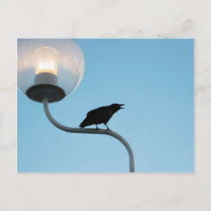 Talande Kråka vykort