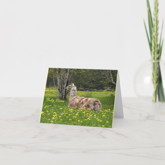 Talande Llamakort Tack Kort (Framsida)