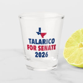 Talarico för senaten 2026 val Texas