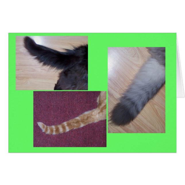 Tales Hälsningskort (Framsidan Horizontal)