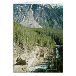 Tåligt landskap i Banff National Park, Kanada Hälsningskort