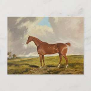 Talisman, 1840 vykort