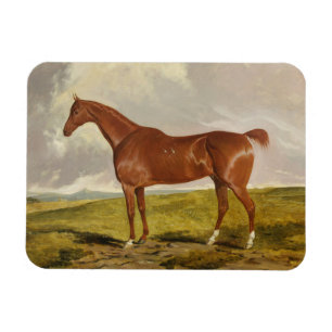 Talisman c.1840 magnet