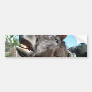 Talking Brown Horse Bildekal