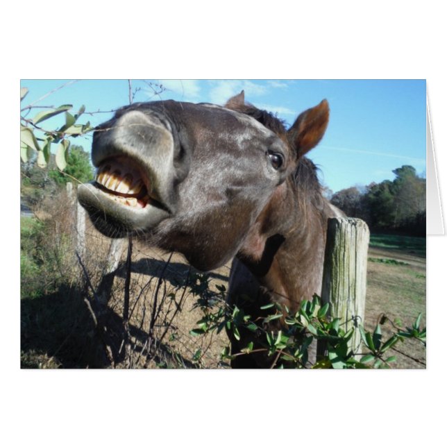 Talking Brown Horse Hälsningskort (Framsidan Horizontal)