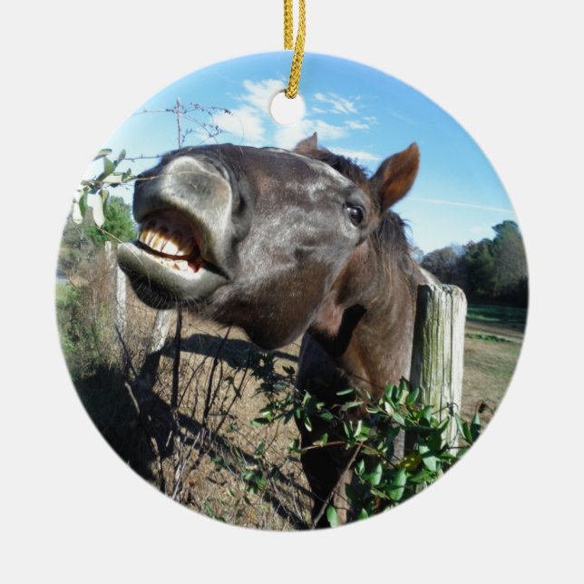 Talking Brown Horse Julgransprydnad Keramik (Framsidan)