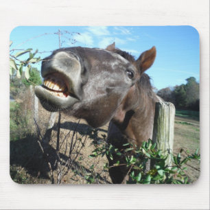 Talking Brown Horse Musmatta