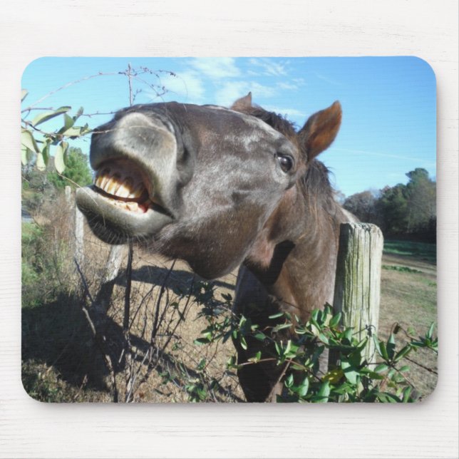 Talking Brown Horse Musmatta (Framsidan)