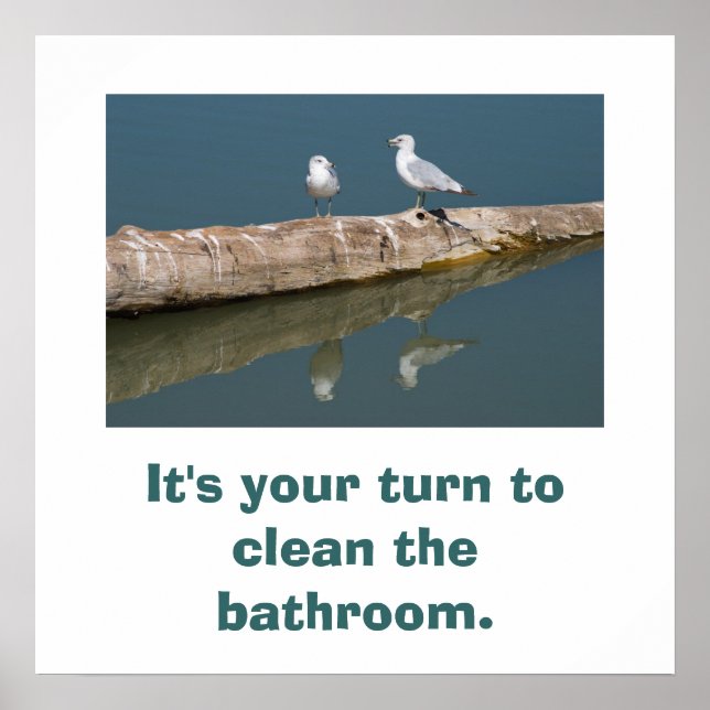 Talking Gull Poster (Framsidan)