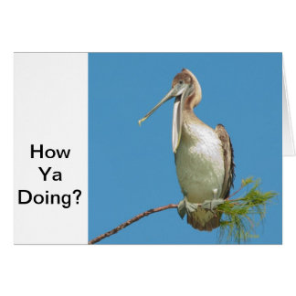 Talking Pelican Hälsningskort