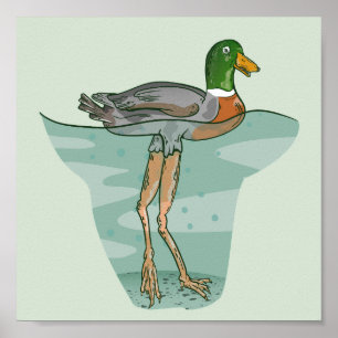 Tall anka med lång ben poster