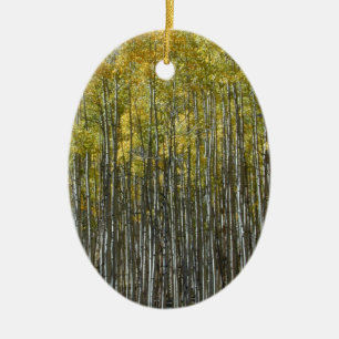 Tall Aspen ornament