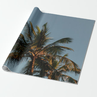 Tall coconut träd presentpapper