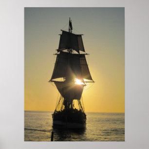 Tall Frakt vid solnedgång Poster