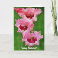 Tall Gladiolus Rosa Flowers Blommigt Birdday Card