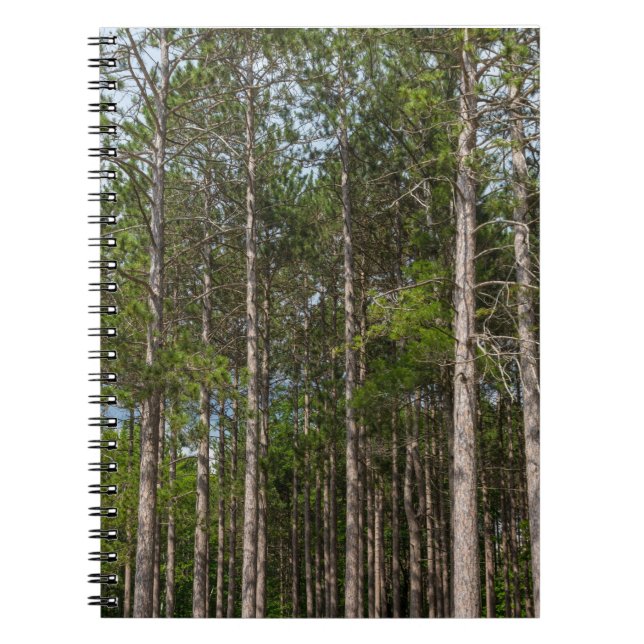 Tall Gräs Anteckningsbok (Framsidan)