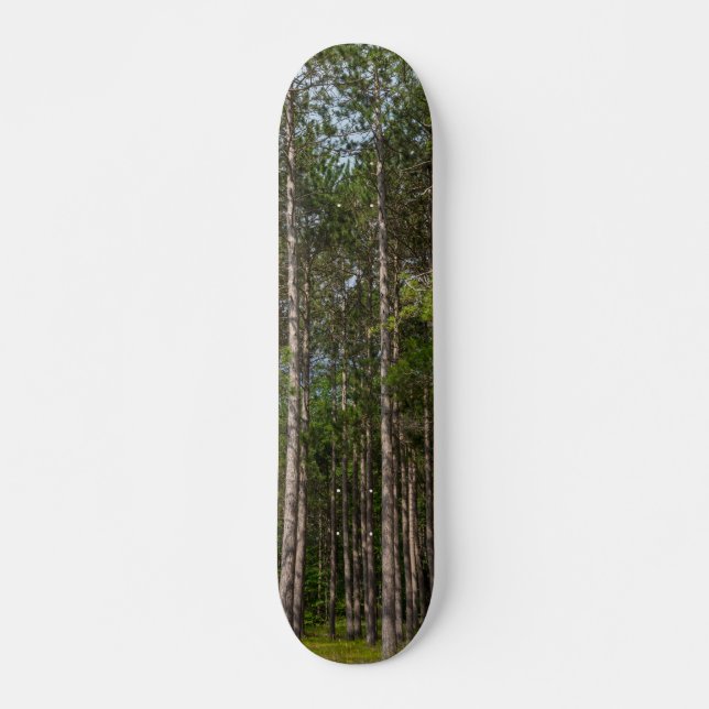 Tall Gräs Skateboard Bräda 20,5 Cm (Framsida)