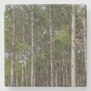 Tall Gräs Stenunderlägg