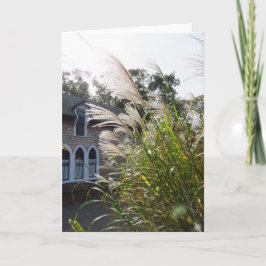Tall Grasses Arched Windows - Martha's Vineyard Kort