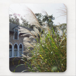 Tall Grasses Arched Windows - Martha's Vineyard Musmatta