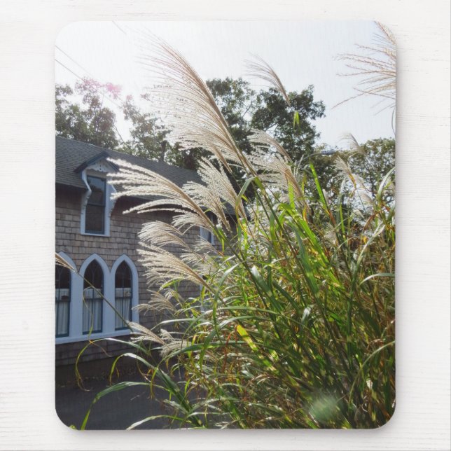 Tall Grasses Arched Windows - Martha's Vineyard Musmatta (Framsidan)