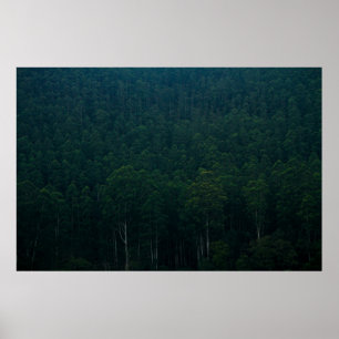 TALL GRÖNT TRÄD POSTER