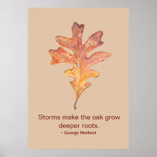 Tall Oak Löv Poster