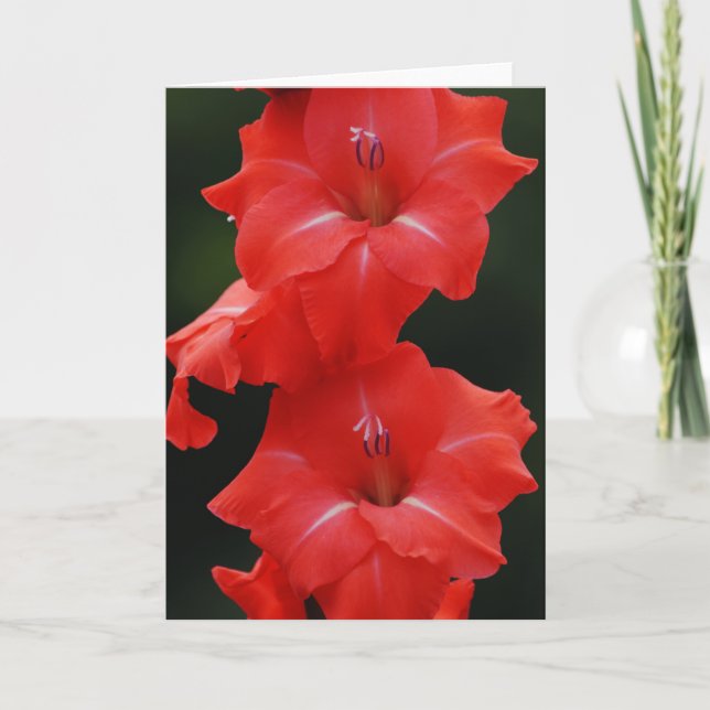 Tall Red Flowers Art Note Card Kort (Framsida)