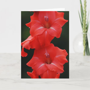 Tall Red Flowers Art Note Card Kort