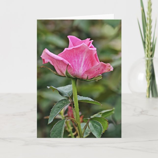 Tall Rosa ros Art Note-kort Kort (Framsida)