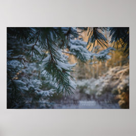 Tall snötäckt tall i vinter skogen poster