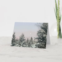 Tall täckt av snö under månsken vid solnedgång