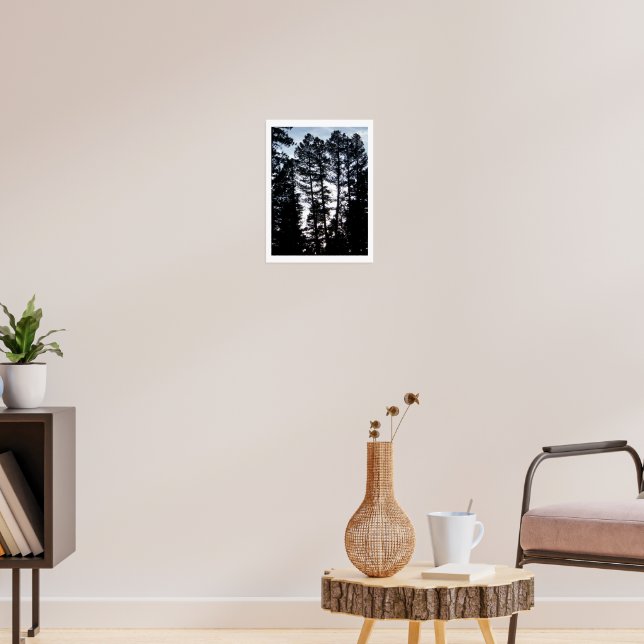 Tall Träd i Coloradbergen Poster (Vardagsrum 3)