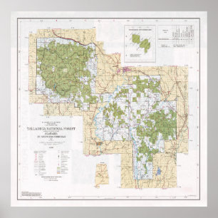 Talladega National Forest Karta (1994) Poster