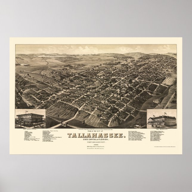 Tallahassee, FL Panoramic Karta - 1885 Poster (Framsidan)