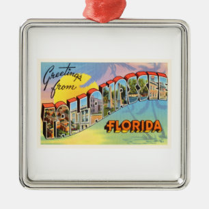 Tallahassee Florida FL gammal vintage Julgransprydnad Metall