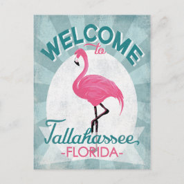 Tallahassee Florida Rosa Flamingo Retro Vykort