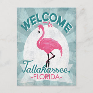 Tallahassee Florida Rosa Flamingo Retro Vykort